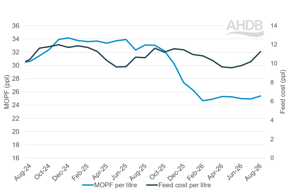 Line graph for margins over purchased feed costs updated to August 2026.